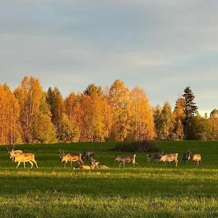 Lapland Log Retreat * 로바니에미
