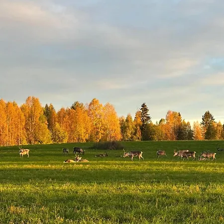 Feriehus Lapland Log Retreat