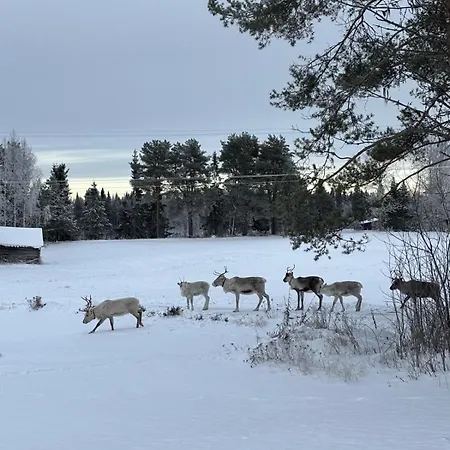 Lapland Log Retreat * Rovaniemi