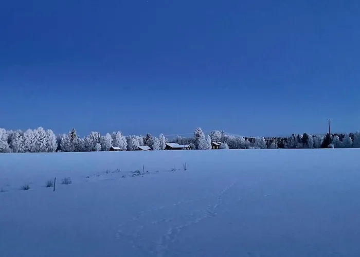 Lapland Log Retreat Tatil Evi *