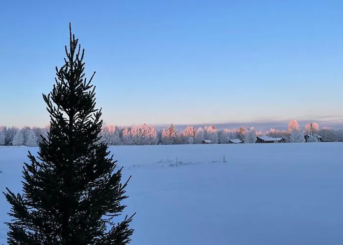 Tatil Evi Lapland Log Retreat