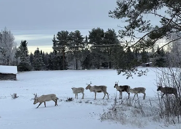 Lapland Log Retreat * Rovaniemi