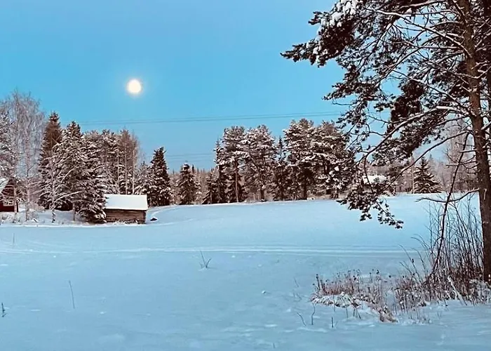 Tatil Evi Lapland Log Retreat