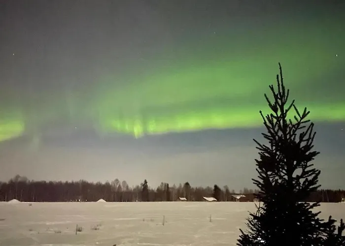 Lapland Log Retreat Tatil Evi *